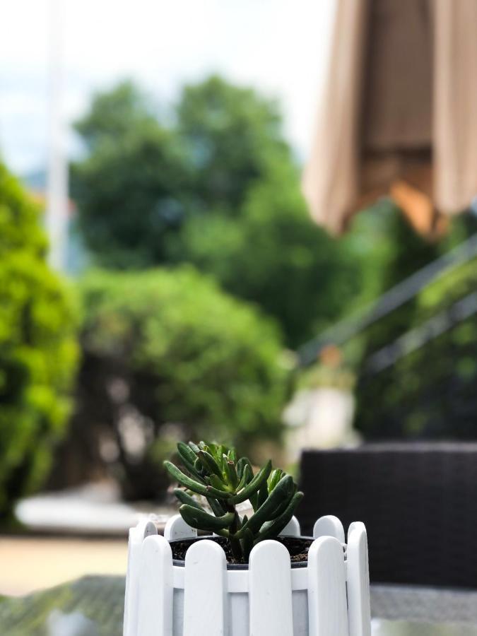 Asteris Apartments 德米尔卡皮亚 外观 照片